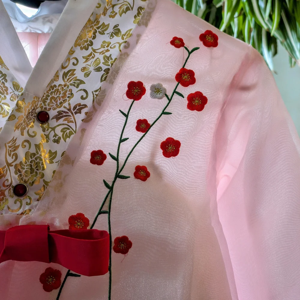 Hanbok Women Red And Pink Hanbok - Picture 4 of 9